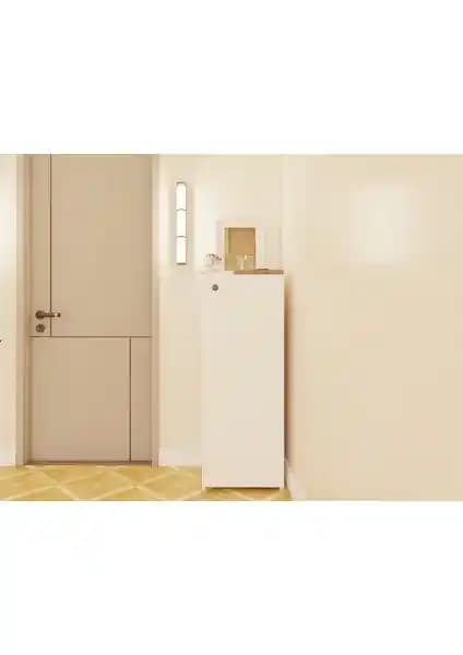 MasifMarket 1 Kapaklı Çok Amaçlı Dolap Modern Tasarım ve Kullanım Özellikleri