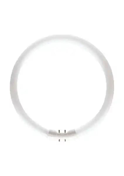 Philips MASTER TL5 Circular 60W/830 Günışığı Floresan Ampul Yüksek Performans ve Enerji Verimliliği