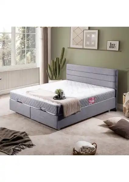 Setay Sofia Çift Kişilik Baza ve Başlık Seti Modern ve Dayanıklı Tasarım Özellikleriyle