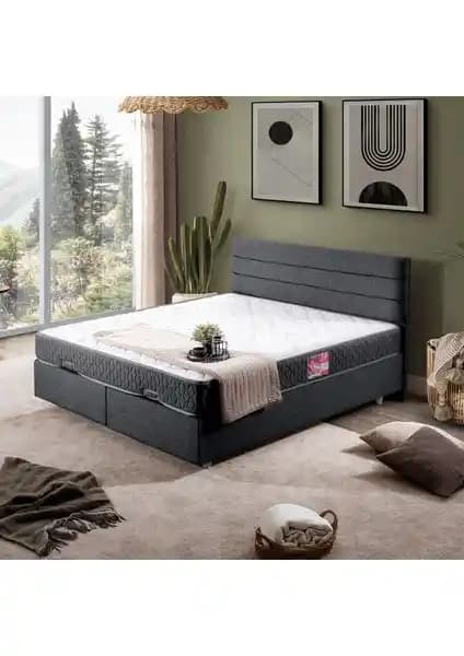 Setay Sofia İkili Baza ve Başlık Seti Modern ve Dayanıklı Yatak Odası Çözümü