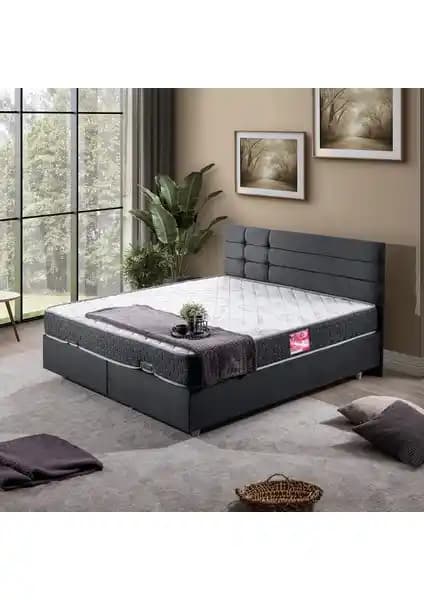 Setay Viyana İkili Baza ve Başlık Seti Antrasit Modern Tasarım ve Dayanıklılık