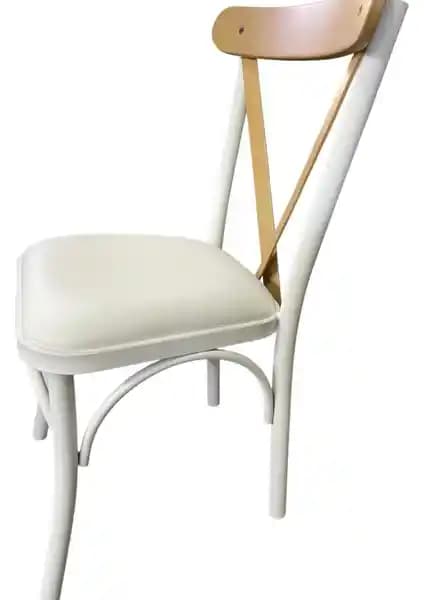 YSR Ev Tekstili Sandalye: Modern Tasarım ve Dayanıklılığıyla Şıklık Sunar