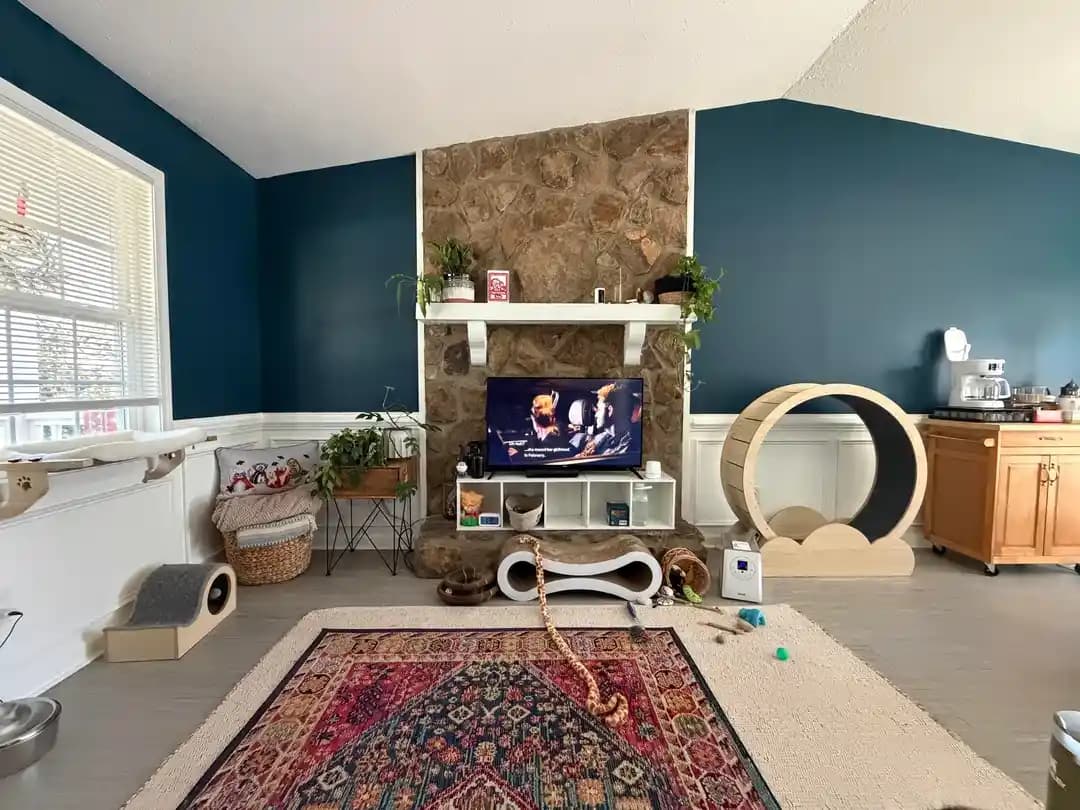 Ev Dekorasyonunda Renk Seçimi ve Kedi Dostu Alanların Düzenlenmesi Yaklaşımları