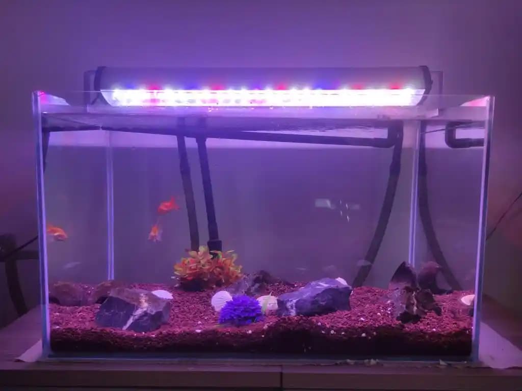 Akvaryum Dekor Malzemeleri ile Evinize Estetik ve Fonksiyonel Dokunuşlar Yapın