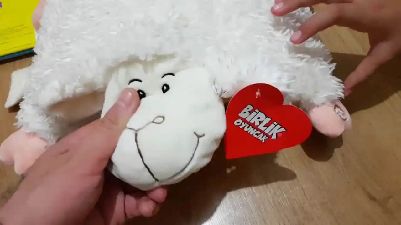 Masal Temalı Dekorasyon Fikirleri ve Masal Okuyan Kuzu ile Sıcak Ev Atmosferi