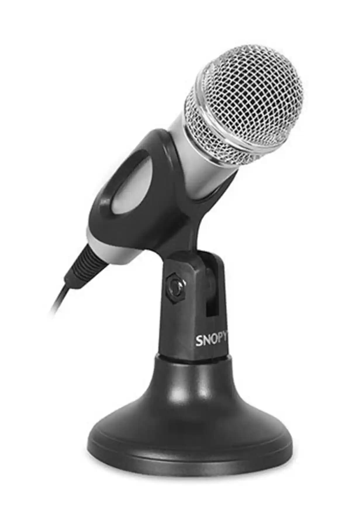 Masaüstü Mikrofon Dekorasyonunda Estetik ve İşlevselliği Birleştiren Seçenekler