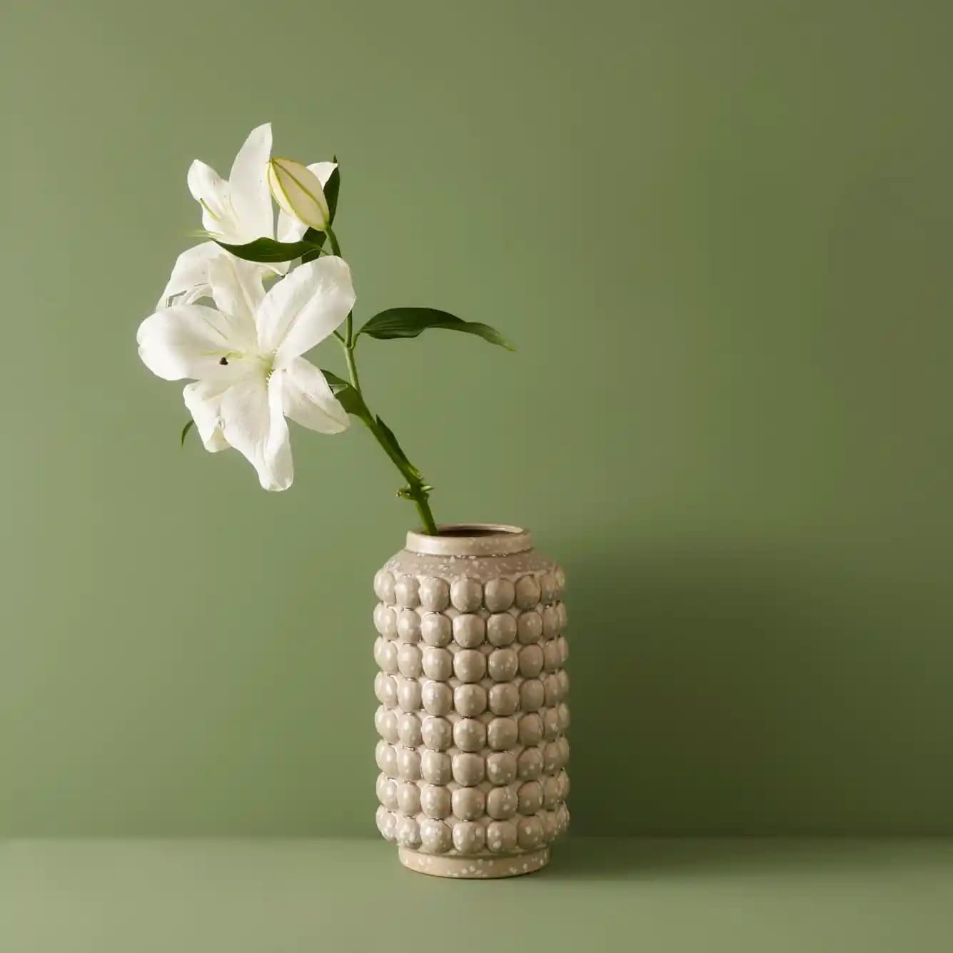 Stoneware Vazo: Dayanıklı ve Estetik Dekoratif Parçalarla Mekanlarınızı Zenginleştirin