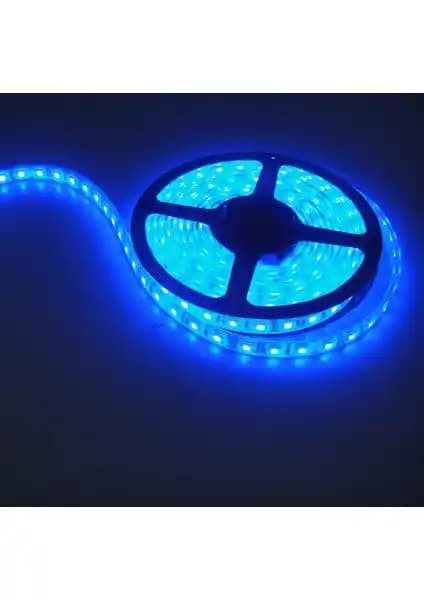 Cata Ct4484 İç Mekan 3 Çipli LED Mavi Şerit 5 Metre Uzunlukta Modern Aydınlatma Çözümü