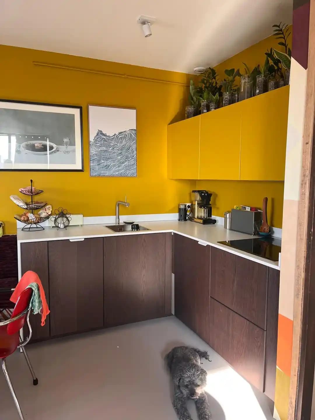 Ceviz Dolaplar İçin Mutfak Tezgahı Renk Seçimi ve Renk Uyumu Önerileri