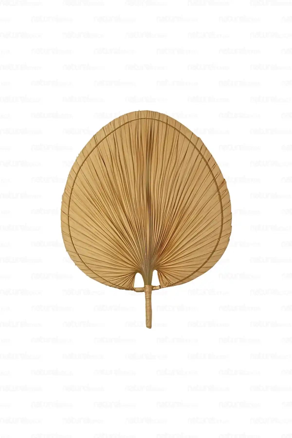 Doğa Temalı Bohem Palmiye Yaprağı ve Japon Yelpazesi Duvar Dekoru 70x55 cm