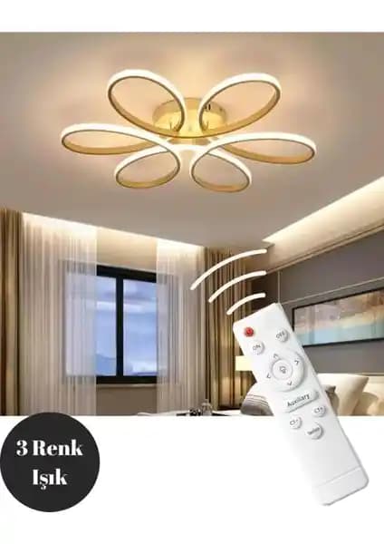 Elektroyou Eskitme Renkli Kumandalı LED Plafonyer Avize Modern İç Mekan Dekorasyonu İçin