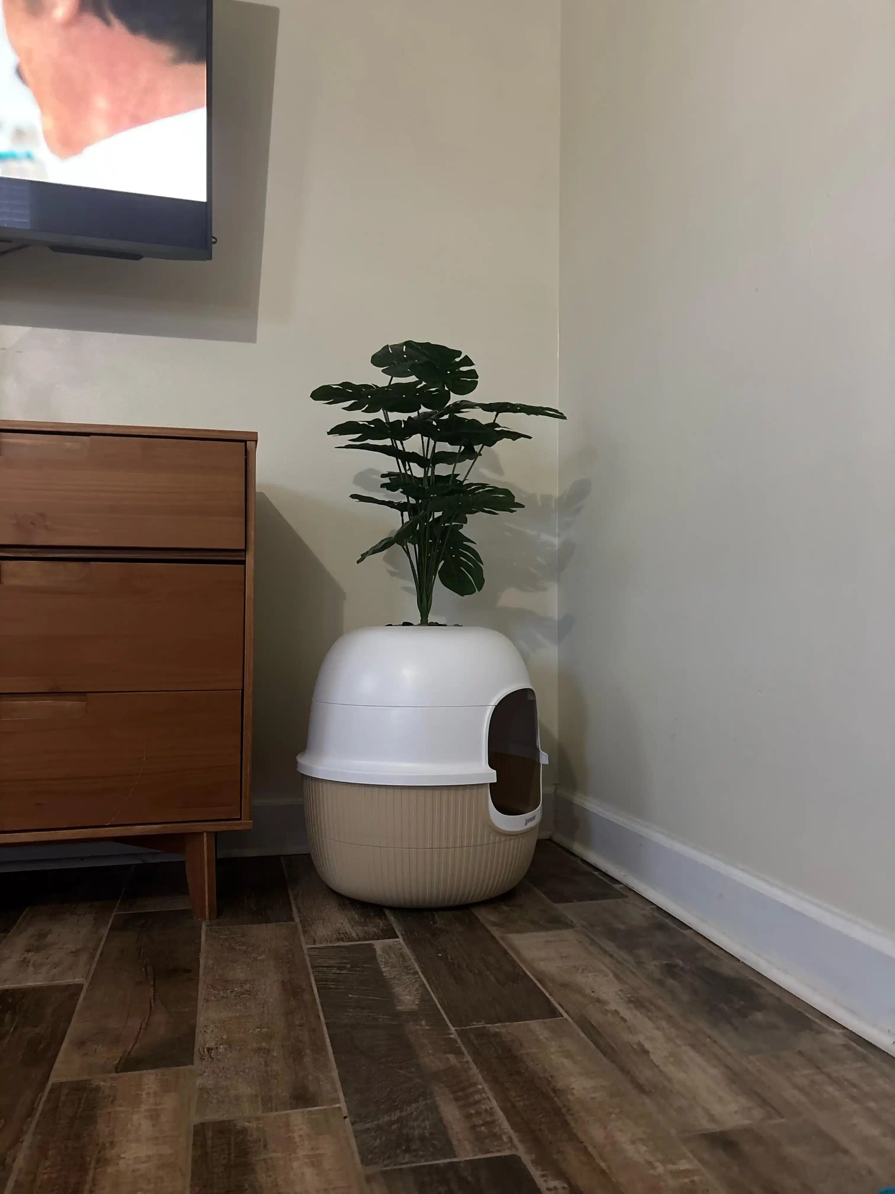 Kedi Tuvalet Kutusunu Estetik ve Fonksiyonel Hale Getirme Yöntemleri