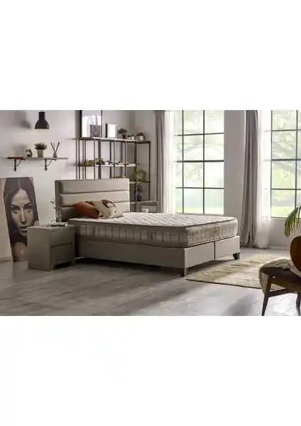 Yaylı Yatak Karşılaştırması: Serabed Planet ve Yataş Spinal Support Özellikleri