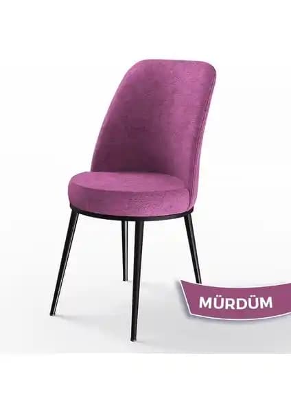 Canisa Dexa ve Lumodi Elma Keten Sandalyesi Karşılaştırması: Özellikler ve Kullanıcı Yorumları