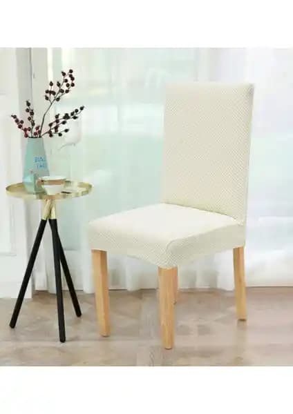 Elgeyar Balpeteği ve IYDGAH Likralı Sandalye Kılıfı Karşılaştırması