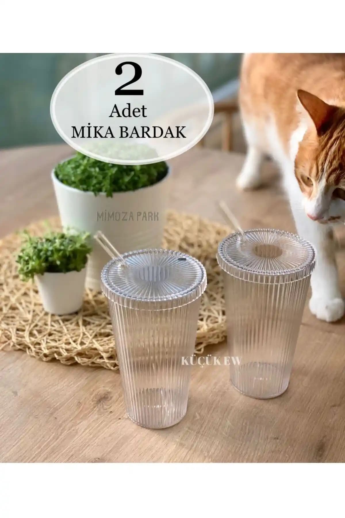 Küçük EW Mika 2'li Set 600 ml Kapaklı Pipetli Mika Bardaklar Modern ve Pratik Tasarım