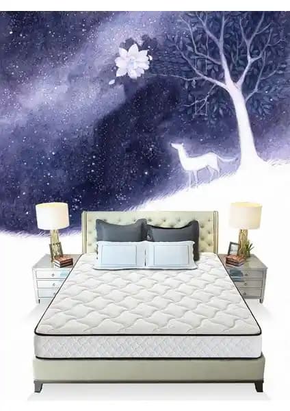 Midilife Lifebed Coton Yaylı Yatak 65x95 cm: Sağlıklı ve Konforlu Bebek Yatakları