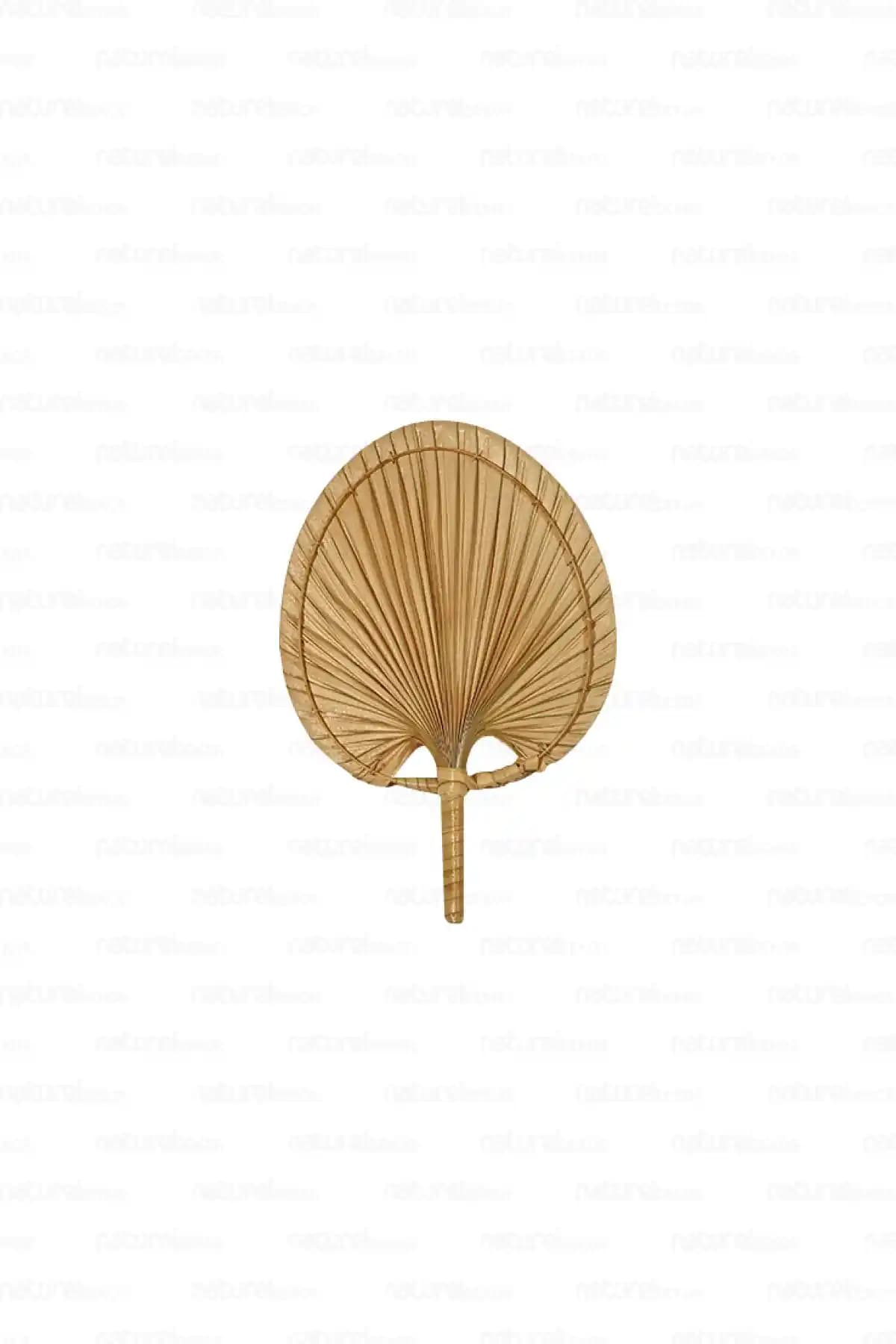 Naturel Home Bohem Palmiye Yaprağı ile Doğal ve Şık Duvar Dekorasyonu Alternatifleri