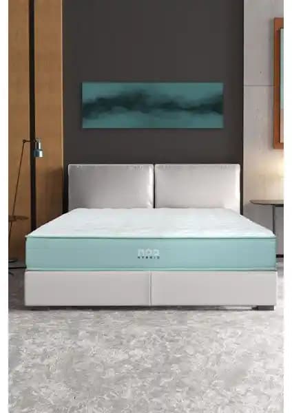 Noa Yatak Elite Ultra ve Yatsan Uykucu Elite Pillow Top Yatak Karşılaştırması