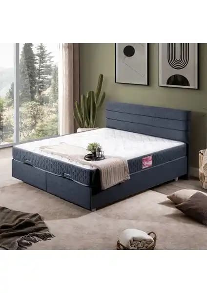 Setay Sofia ve Setay Viyana Çift Kişilik Baza Başlıkları Karşılaştırması ve Seçim Rehberi