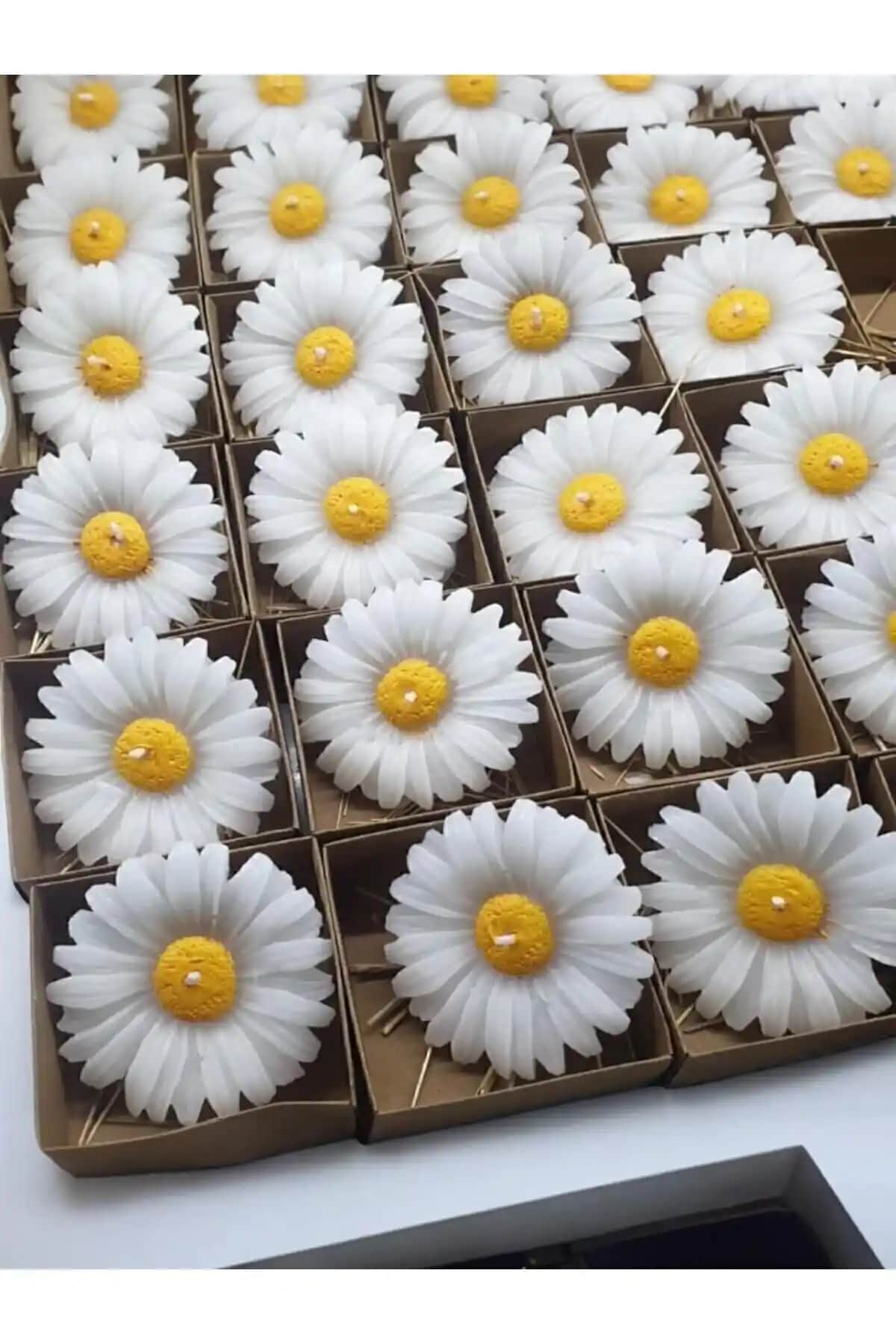 Aralmini ve Genel Markalar Papatya Mumları Karşılaştırması: Özellikler ve Kullanım Tavsiyeleri