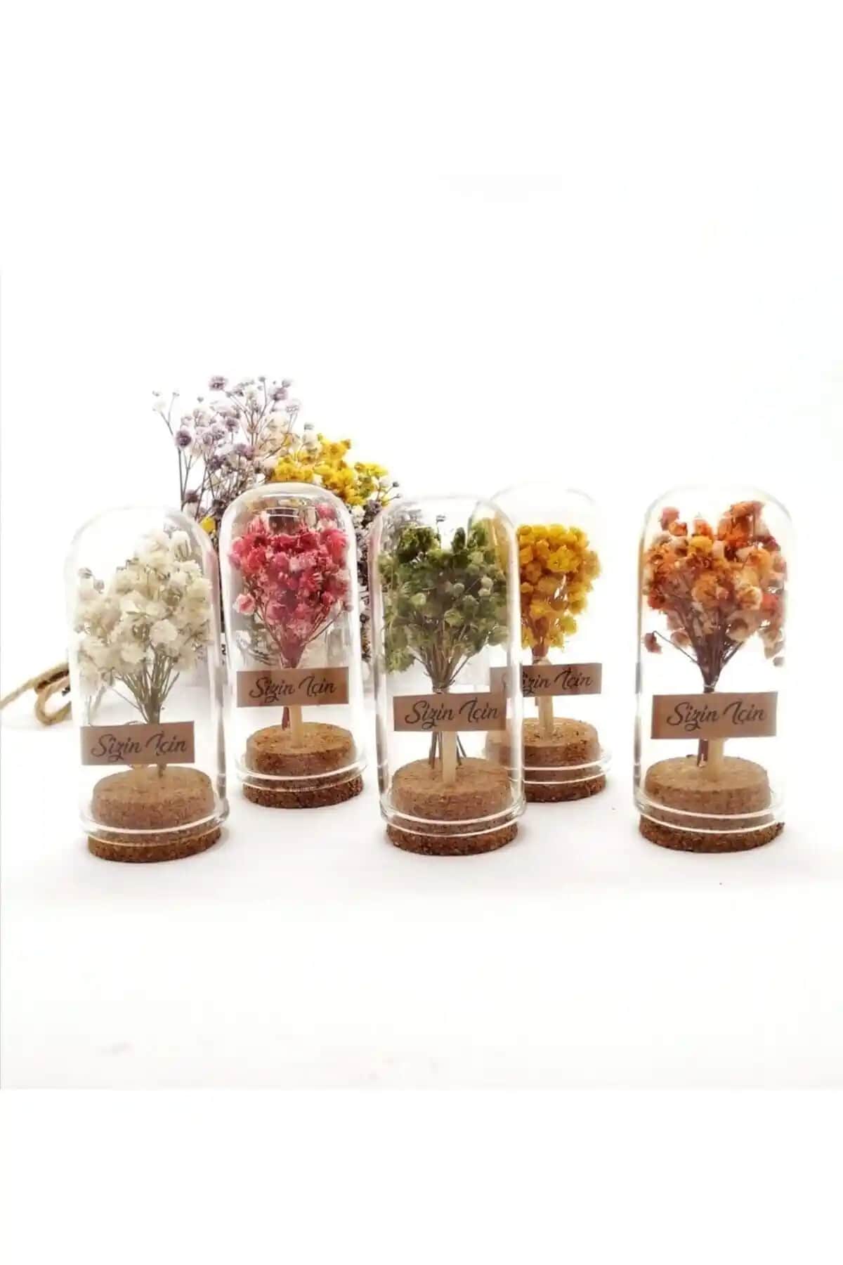 Burçların ve özel günlerin anlamını artıran renkli mini fanus seti 25 adet