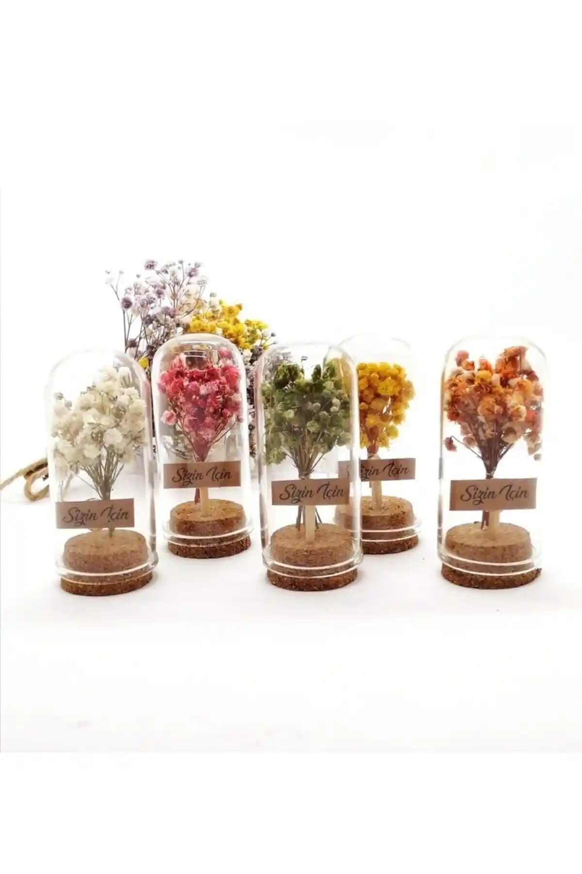 Burçların ve özel günlerin anlamını artıran renkli mini fanus seti 25 adet