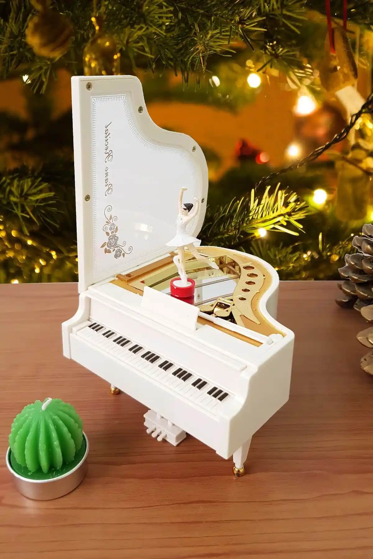 Chavin ve Mujgan Hareketli Müzik Kutuları Karşılaştırması: Özellikler ve Kullanıcı Yorumları