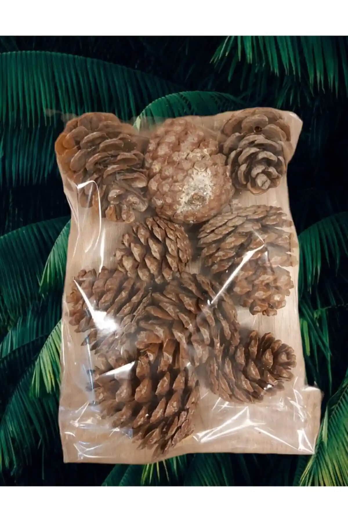 Doğa Temalı Çam Kozalağı Seti ile Ev ve Ofis Dekorasyonlarınızı Zenginleştirin