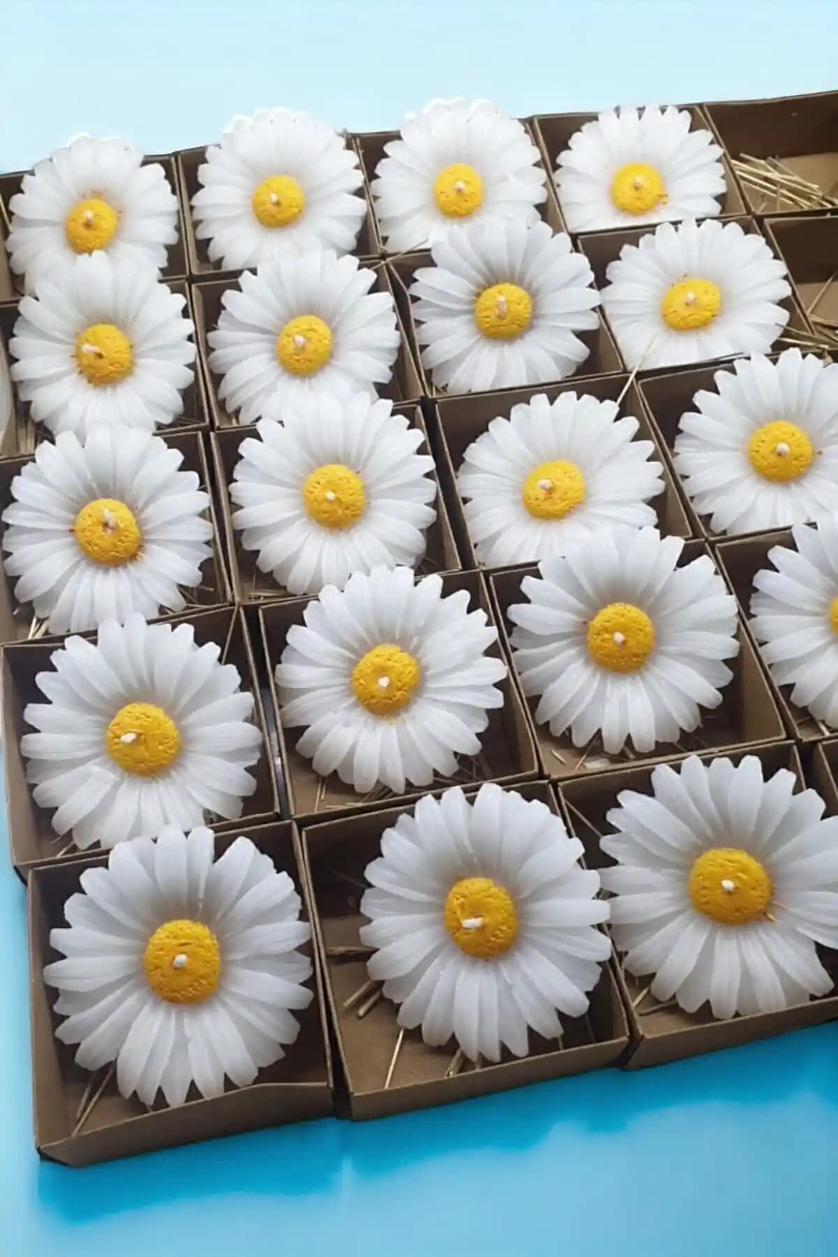 ERSE HOME Mum Palace Serisi: Estetik ve İşlevselliği Bir Araya Getiren Sıcaklık ve Şıklık