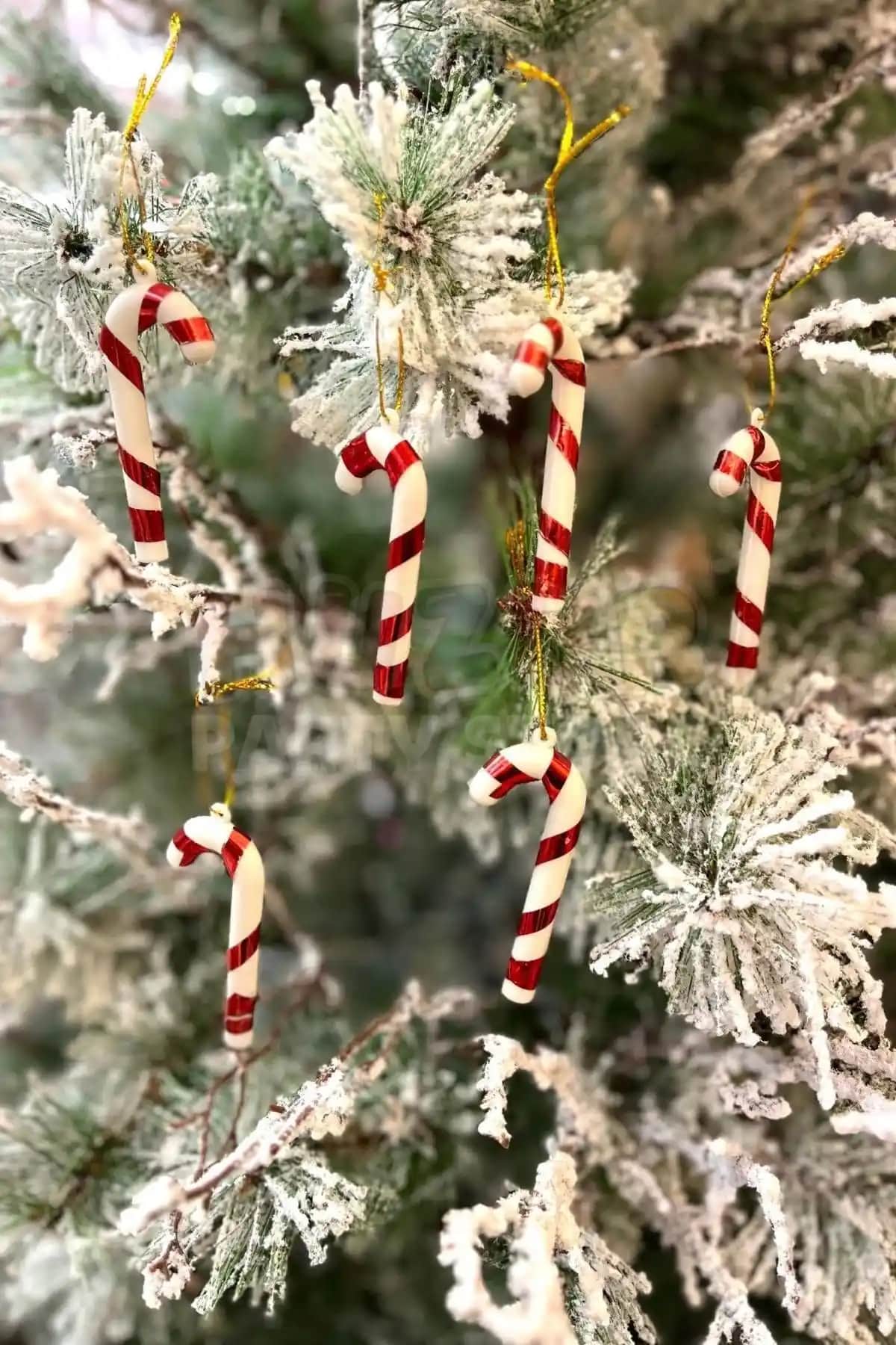 Huzur Party Store Kırmızı Şeritli Beyaz Plastik Baston Şeker Kabı Yılbaşı Dekorasyonları İçin