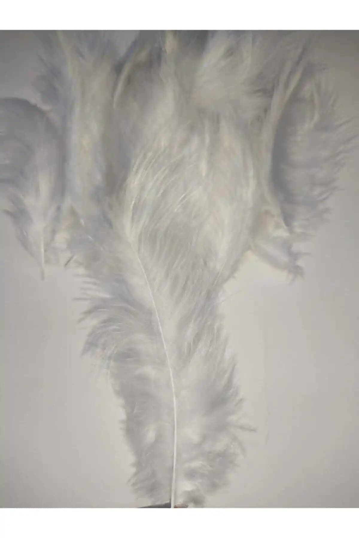 Özcan Ambalaj Kuş Tüyü Beyaz 100'lü Dekoratif ve El Sanatları İçin Yüksek Kalite Malzeme