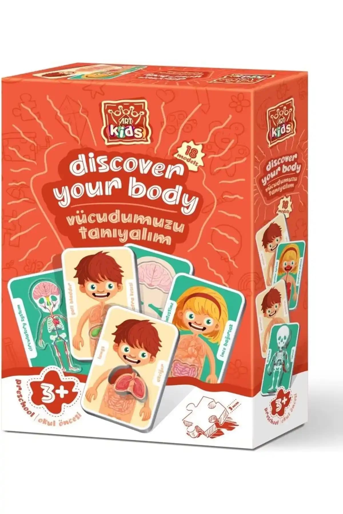 Vücudumuzu Tanıyalım Puzzle ile Çocuklara Temel Anatomi ve Sağlık Bilgisi Öğretimi