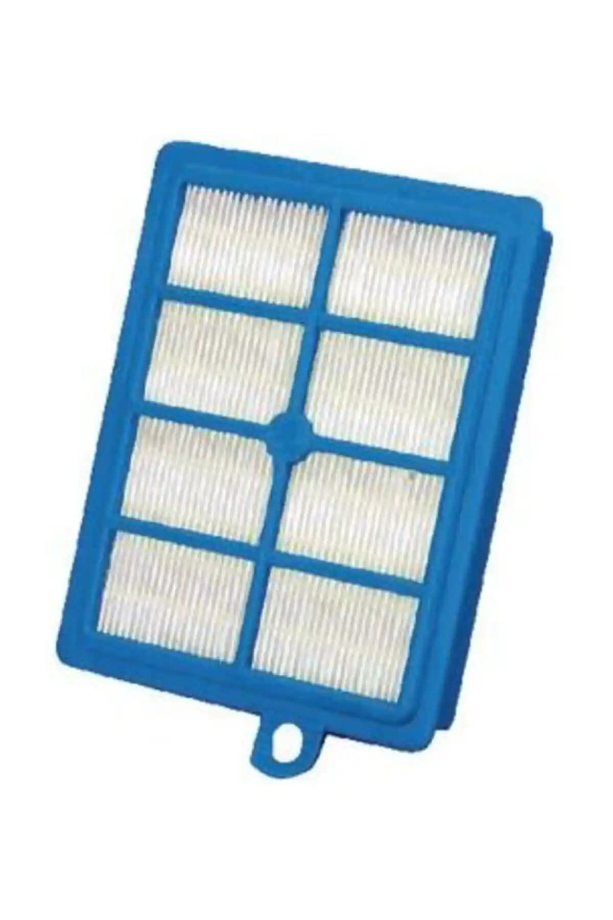 Electrolux Efs1w Allergy Plus HEPA13 Filtre: Yüksek Performanslı ve Dayanıklı Temizlik Çözümü