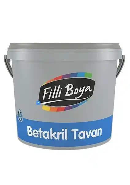 Filli Boya Betakril ve Gemsa Gemsalit Tavan Boyası Karşılaştırması ve Kullanım İpuçları