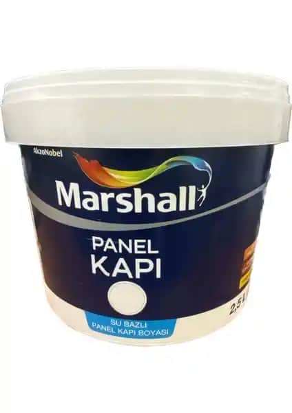 Marshall Su Bazlı ve Polisan X1 Panel Kapı Boyası Karşılaştırması: Özellikler ve Kullanıcı Yorumları