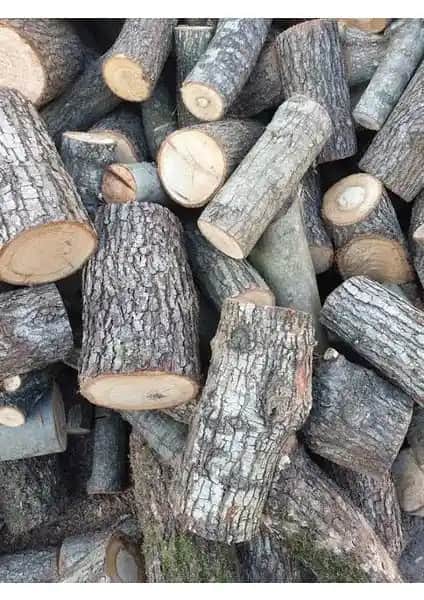 Özkayalar Meşe Odunu: Doğal ve Ekonomik Sıcaklık Sağlayan Isıtma Çözümü