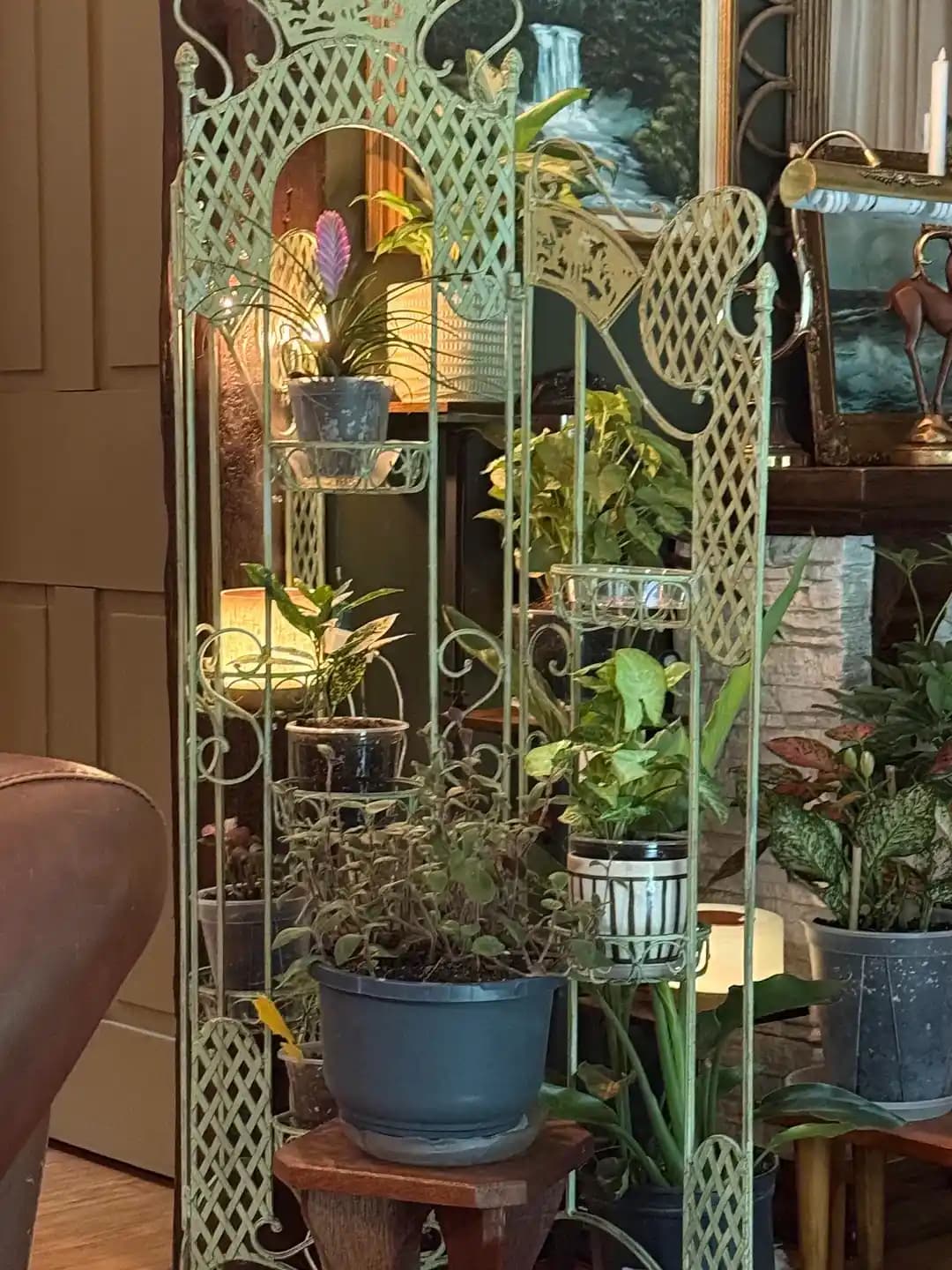 Bitki Standı Boyama Seçenekleri: Yeşil ve Siyah Renklerin Dekorasyondaki Rolü