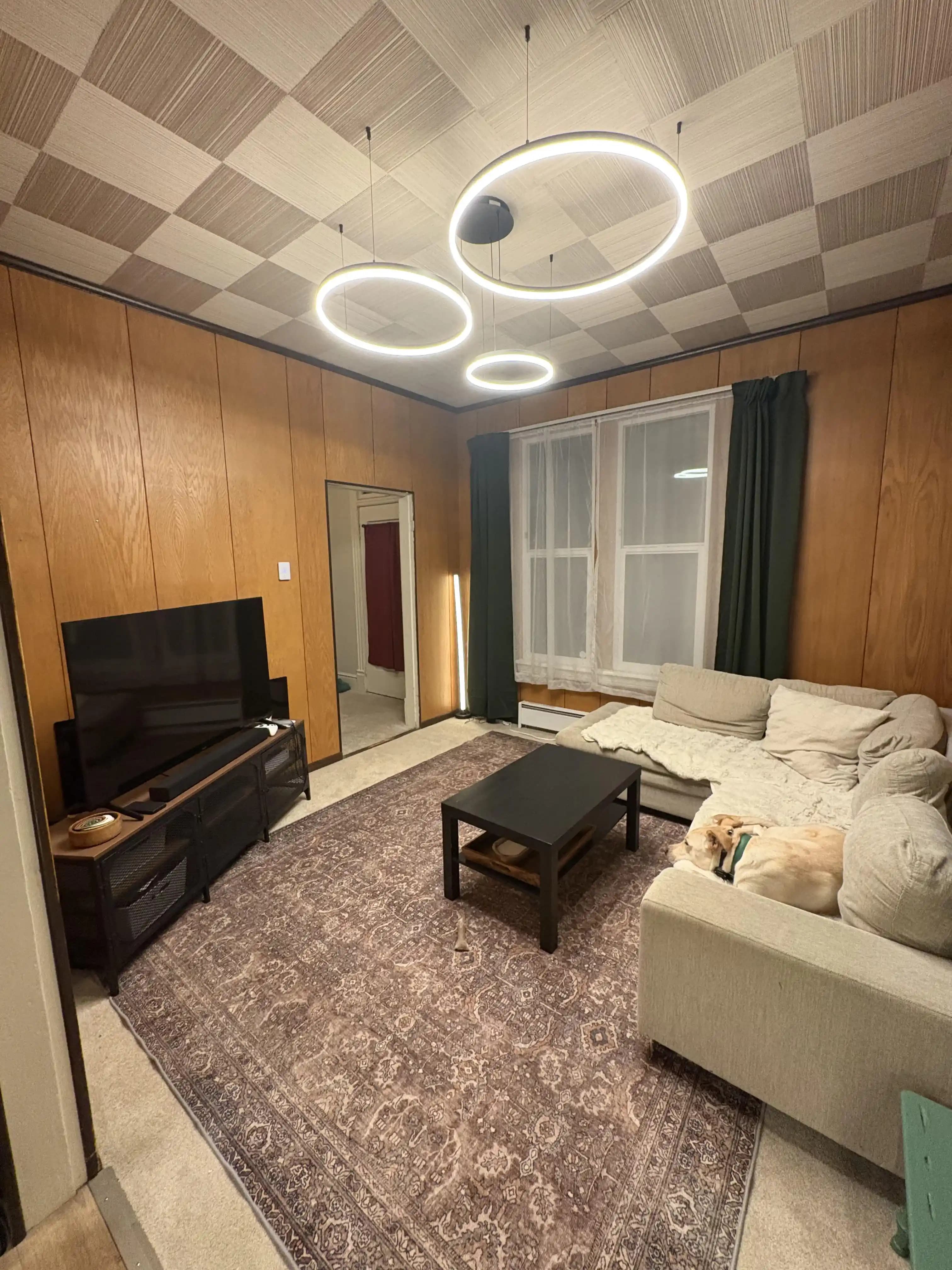 Ahşap Duvar Panelli ve Zor Aydınlatmalı Oturma Odası İçin Dengeli Dekorasyon Önerileri