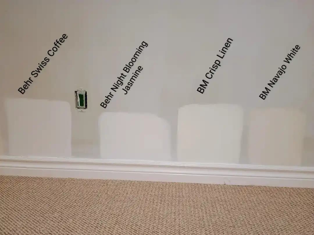 Bodrum Katları İçin Doğru Boya Renkleri ve Alt Tonları Seçimi Rehberi