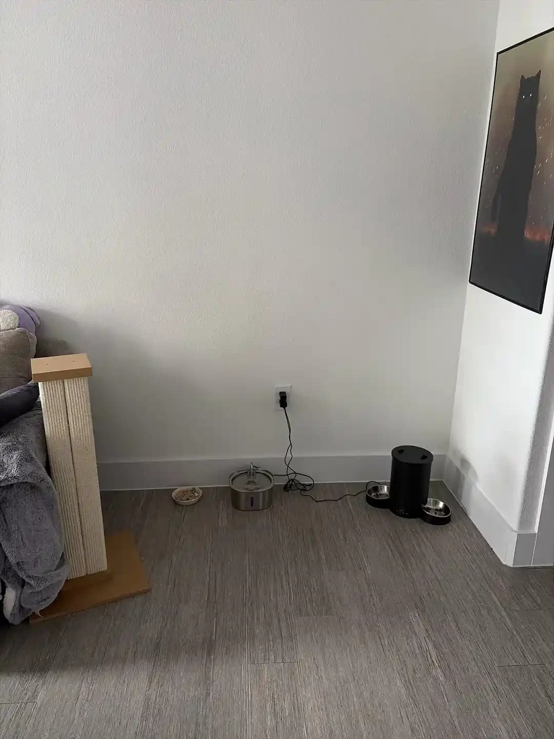 Kedinizin Mama Köşesini Fonksiyonel ve Estetik Hale Getirme Yöntemleri