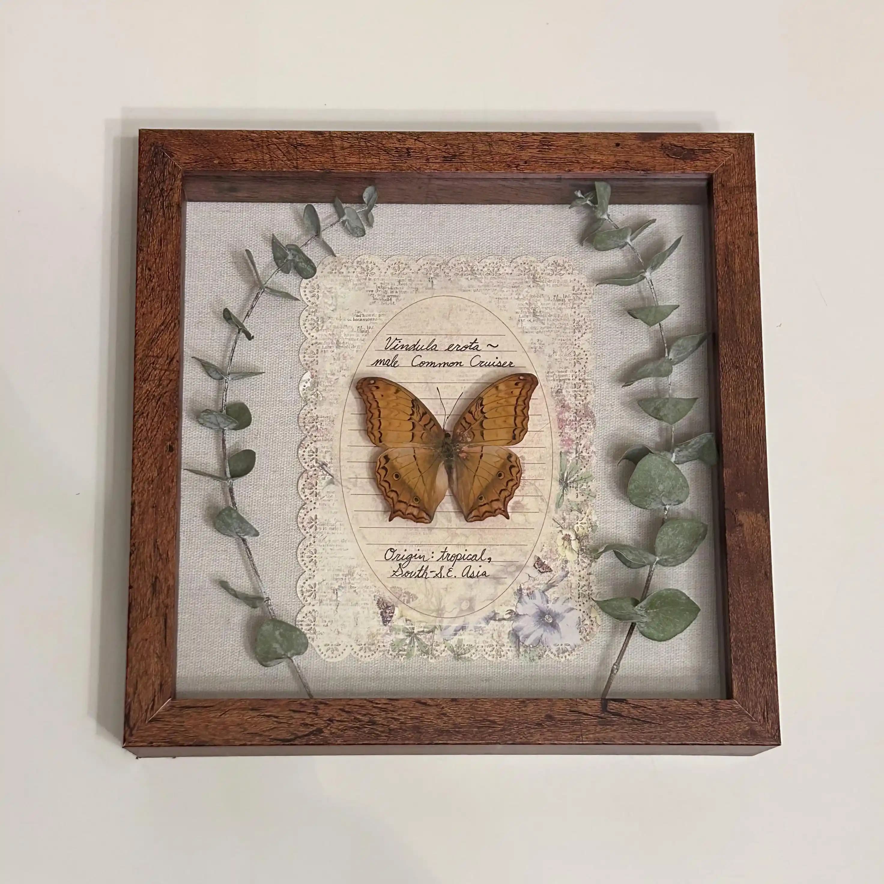 Kurutulmuş Kelebeklerle Dekoratif Sanat: Tasarım ve Fiyatlandırma Kriterleri