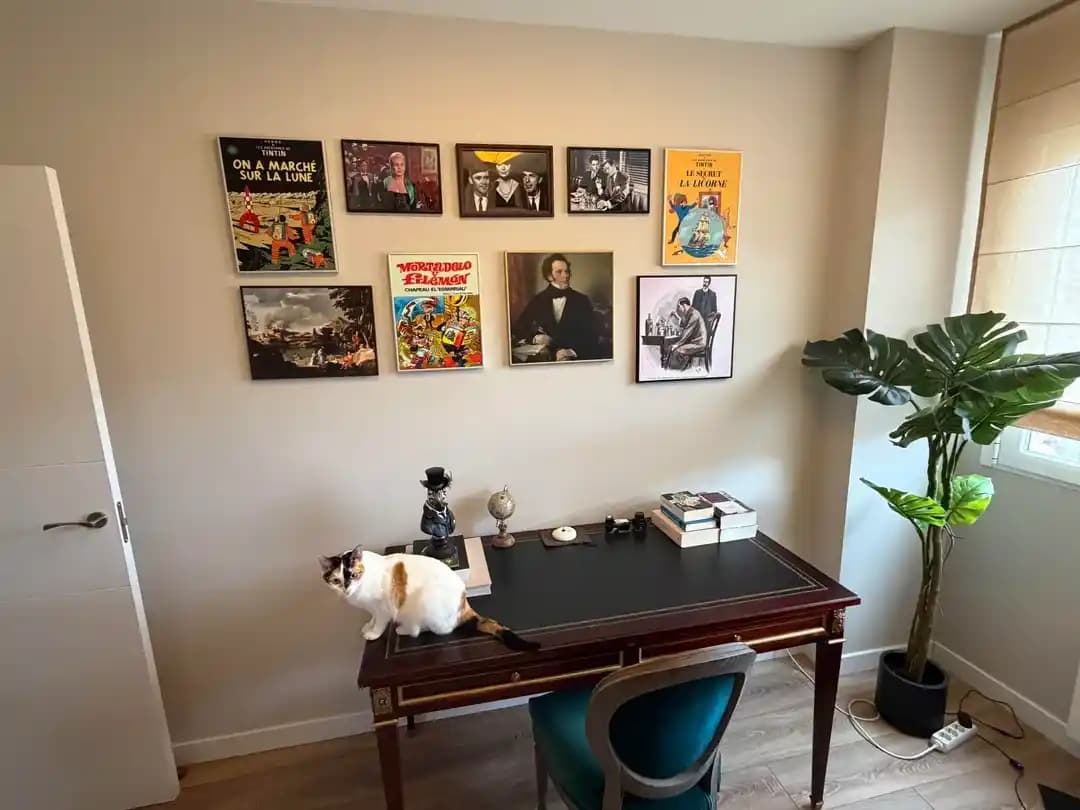 Ofis Tasarımında Fonksiyonellik ve Estetik Dengesi: Çalışma Alanlarında Konfor ve Verimlilik