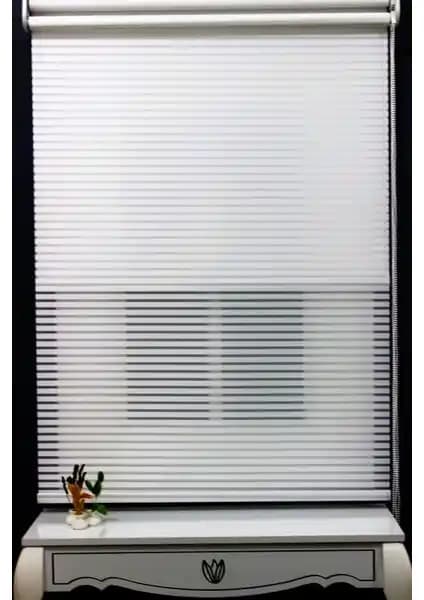 Alpinaz ve Volper Çift Mekanizmalı Perdelerin Özellikleri ve Karşılaştırması