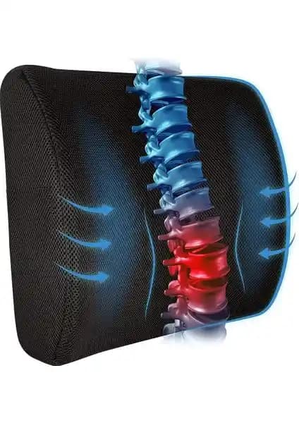 Baffhome ve Viscomina Bel Yastıkları Karşılaştırması: Ergonomik Destek ve Konfor