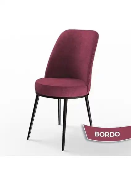 Canisa Concept Dexa ve Canisa Pefa Serisi Mutfak Sandalyeleri Karşılaştırması ve Özellikleri