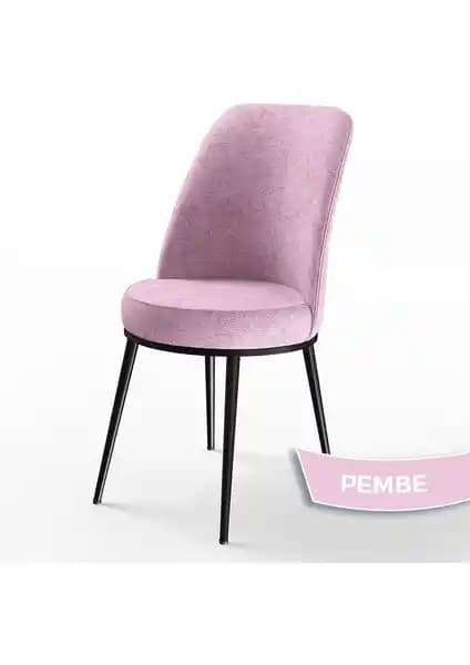 Canisa Concept Dexa ve Pefa Serisi Mutfak Sandalyeleri Karşılaştırması ve Özellikleri