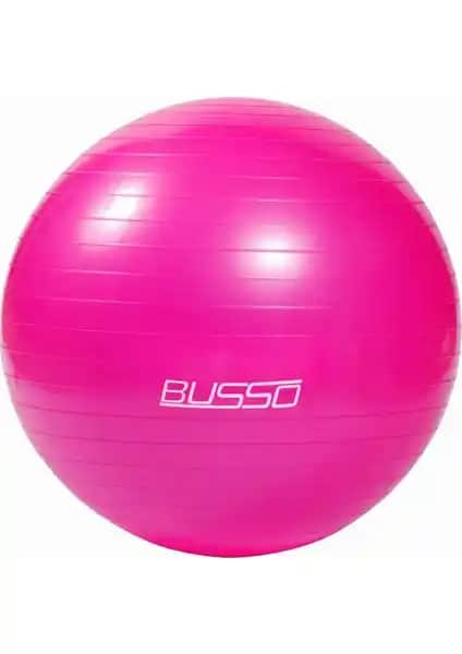 Busso ve Delta 65 cm Pilates Topları Karşılaştırması: Özellikler ve Kullanıcı Yorumları