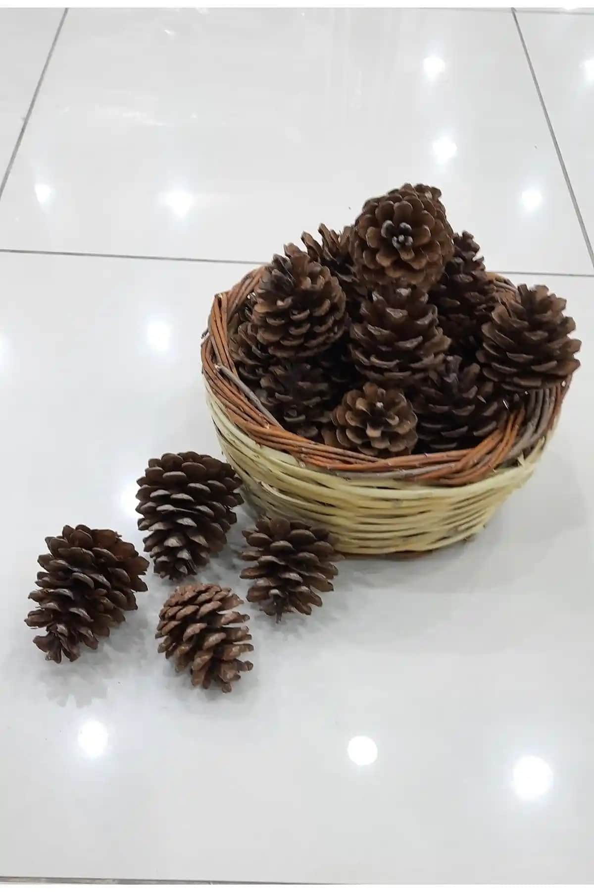 Doğal Çam Kozalağı: Yılbaşı ve Etkinlik Süslemelerinde Kullanım