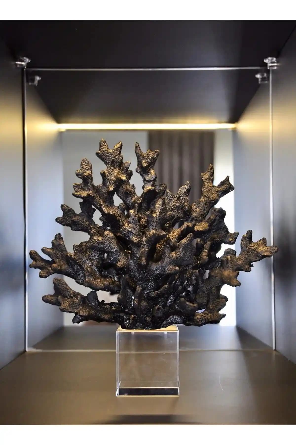 Estetik ve Fonksiyonellik: Decorem Kristalli Siyah Mercan Aksesuar